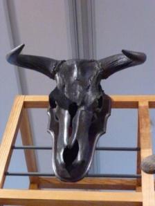 Auroch Skull, the Harris Museum